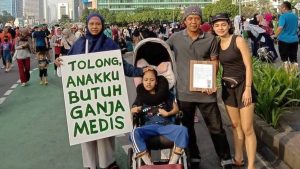 ganja-medis