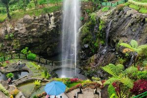 purwokerto-banyumas