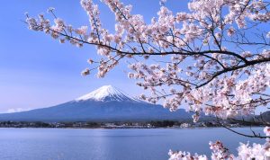 pemandangan Gunung Fuji dan kuliner Jepang