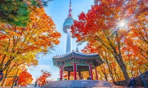 trip murah ke Korea 5 hari 5 malam