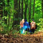 Menjelajah alam bukan hanya soal keberanian dan stamina, tapi juga soal kesadaran akan risiko dan kesiapan menghadapi tantangan kesehatan