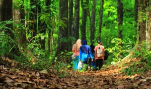 Menjelajah alam bukan hanya soal keberanian dan stamina, tapi juga soal kesadaran akan risiko dan kesiapan menghadapi tantangan kesehatan