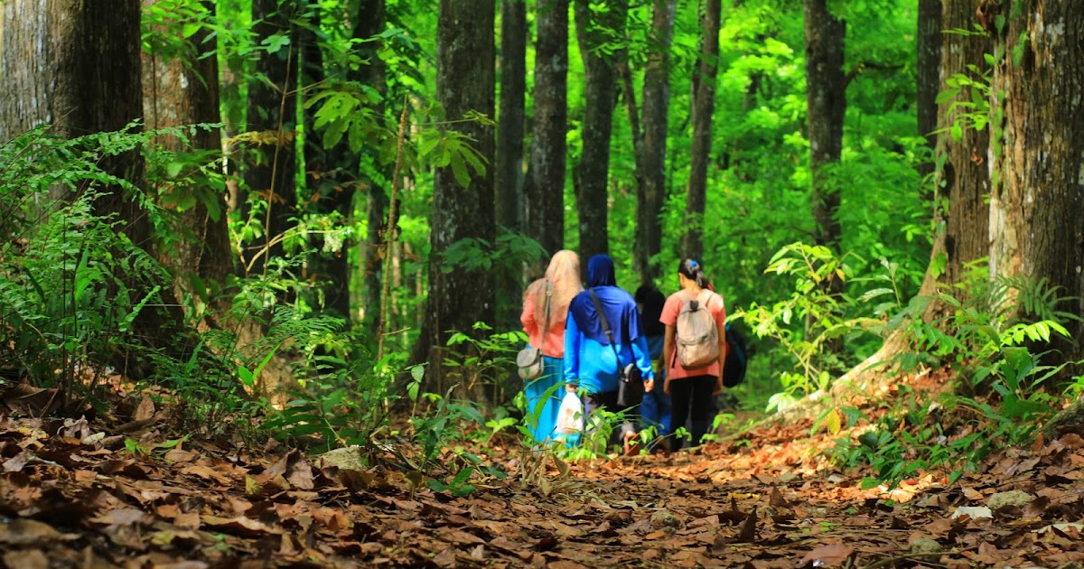 Menjelajah alam bukan hanya soal keberanian dan stamina, tapi juga soal kesadaran akan risiko dan kesiapan menghadapi tantangan kesehatan