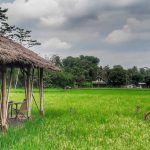 Dari hamparan sawah yang membentang, hingga aroma dapur yang memikat, setiap elemen menyatu dalam pengalaman yang tak terlupakan.