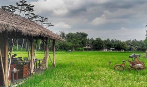 Dari hamparan sawah yang membentang, hingga aroma dapur yang memikat, setiap elemen menyatu dalam pengalaman yang tak terlupakan.