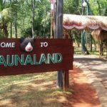 Melalui wisata edukatif di alam, anak-anak belajar banyak hal tanpa merasa digurui. Sementara itu, orang tua pun mendapatkan momen berkualitas untuk mendampingi pertumbuhan anak secara menyenangkan.