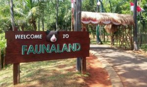 Melalui wisata edukatif di alam, anak-anak belajar banyak hal tanpa merasa digurui. Sementara itu, orang tua pun mendapatkan momen berkualitas untuk mendampingi pertumbuhan anak secara menyenangkan.