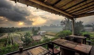 Wisata ramah lingkungan di tengah kota modern bukan sekadar tren sesaat, melainkan sebuah kebutuhan baru.