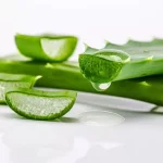 Aloe vera telah terbukti mampu menjadi solusi tepat untuk beragam masalah kulit, mulai dari iritasi ringan, jerawat, hingga kulit kering.