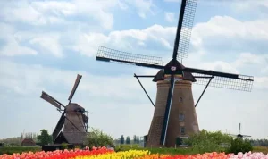 Belanda bukan hanya terkenal dengan kincir angin dan bunga tulip, tetapi juga memiliki kekayaan alam yang luar biasa indah dan memukau.