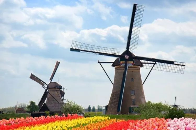 Belanda bukan hanya terkenal dengan kincir angin dan bunga tulip, tetapi juga memiliki kekayaan alam yang luar biasa indah dan memukau.