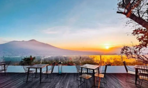 Dari hamparan sawah hingga rumah pohon di tengah hutan, 7 cafe bernuansa alam di Malang ini membuktikan bahwa kota ini adalah surga bagi pecinta kuliner dan alam sekaligus.