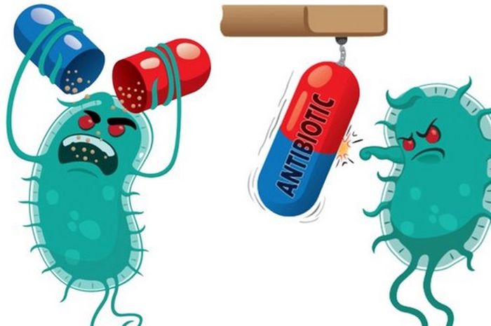 Resistensi obat adalah masalah yang serius dan memerlukan perhatian semua pihak. Penggunaan antibiotik harus bijak, tepat dosis, dan sesuai anjuran medis.